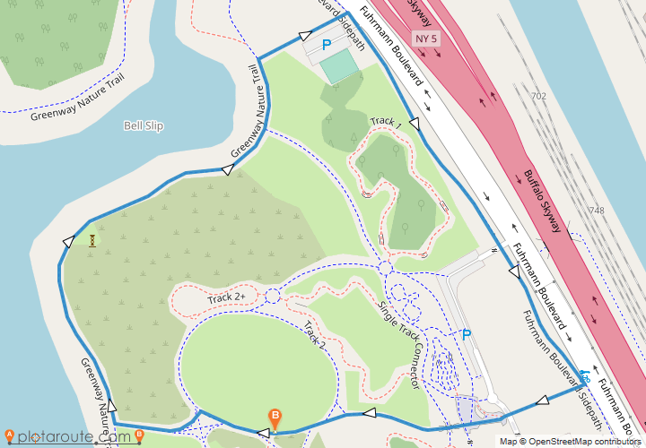 It's In My Blood Awareness Walk & 5K Run in Buffalo, NY Details